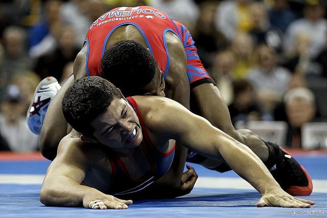 传统摔跤节：古老技艺的现代传承