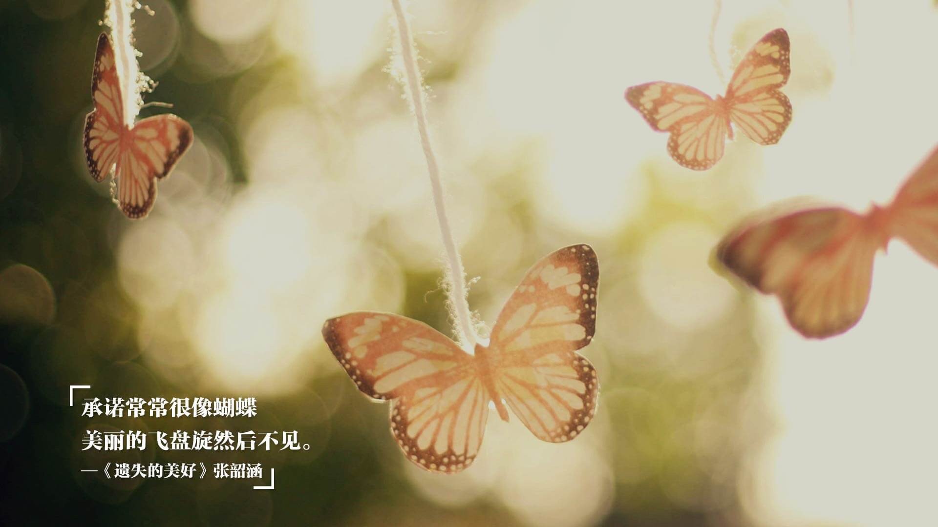 leyu乐鱼官网登录入口-【本垒打的奥秘】如何准确击中高远球？技巧与规则解读，击打高远球最佳落点