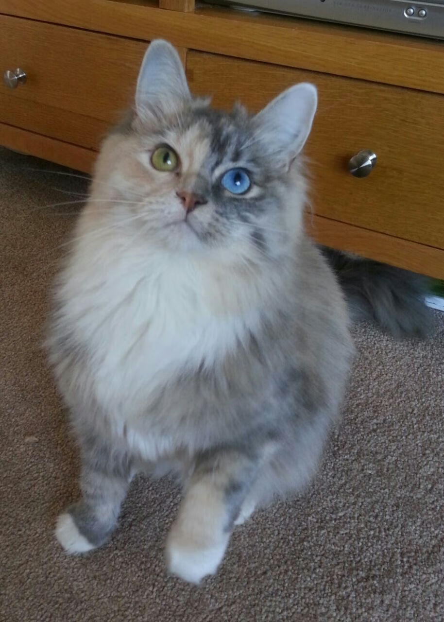 乐鱼vip-全国青少年“篮球+文化+旅游”融合发展新模式在昆明落地，青少年全国篮球联赛