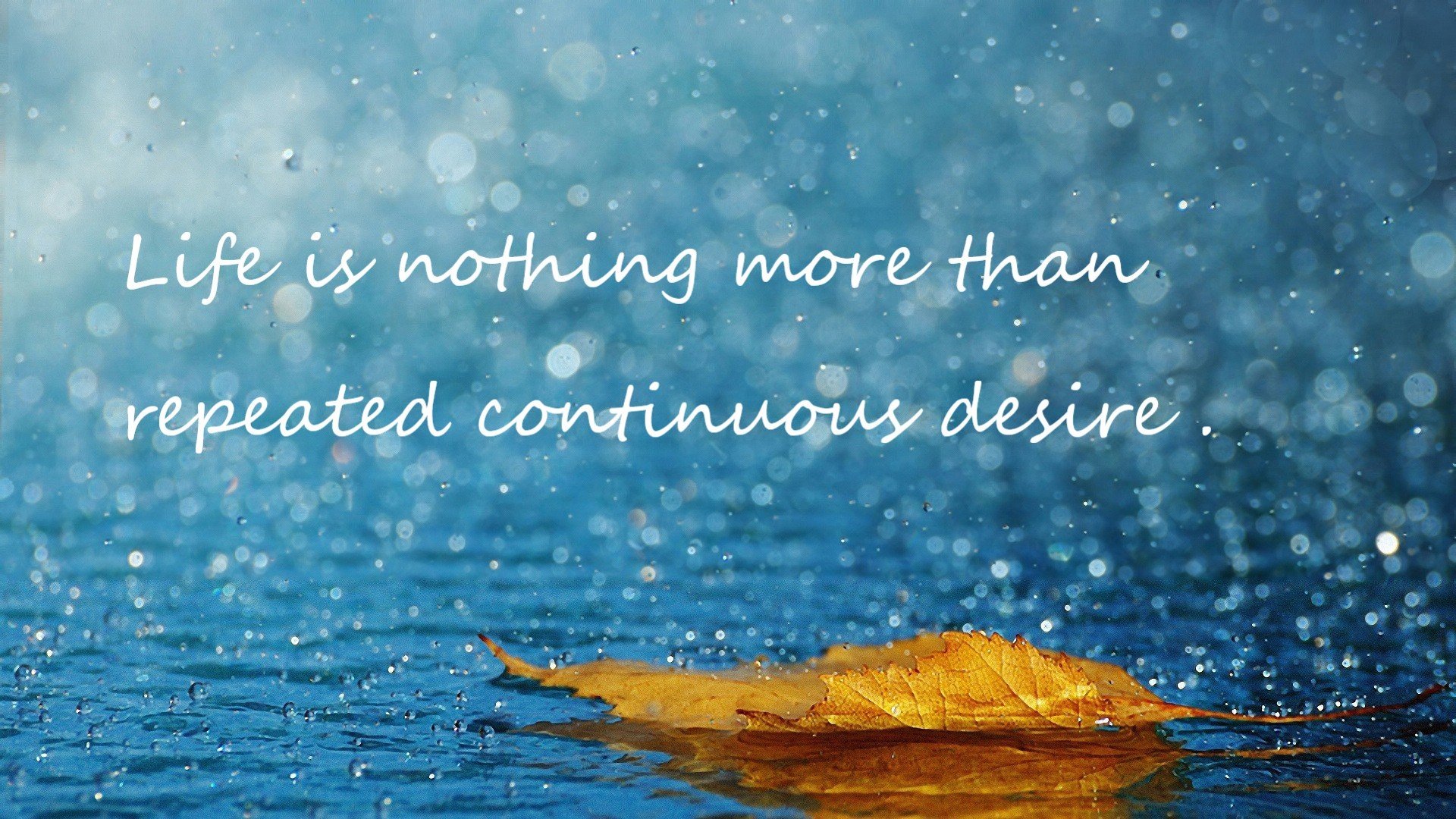 leyu乐鱼-史上最年轻冠军出炉，刷新纪录，史上最年轻mvp