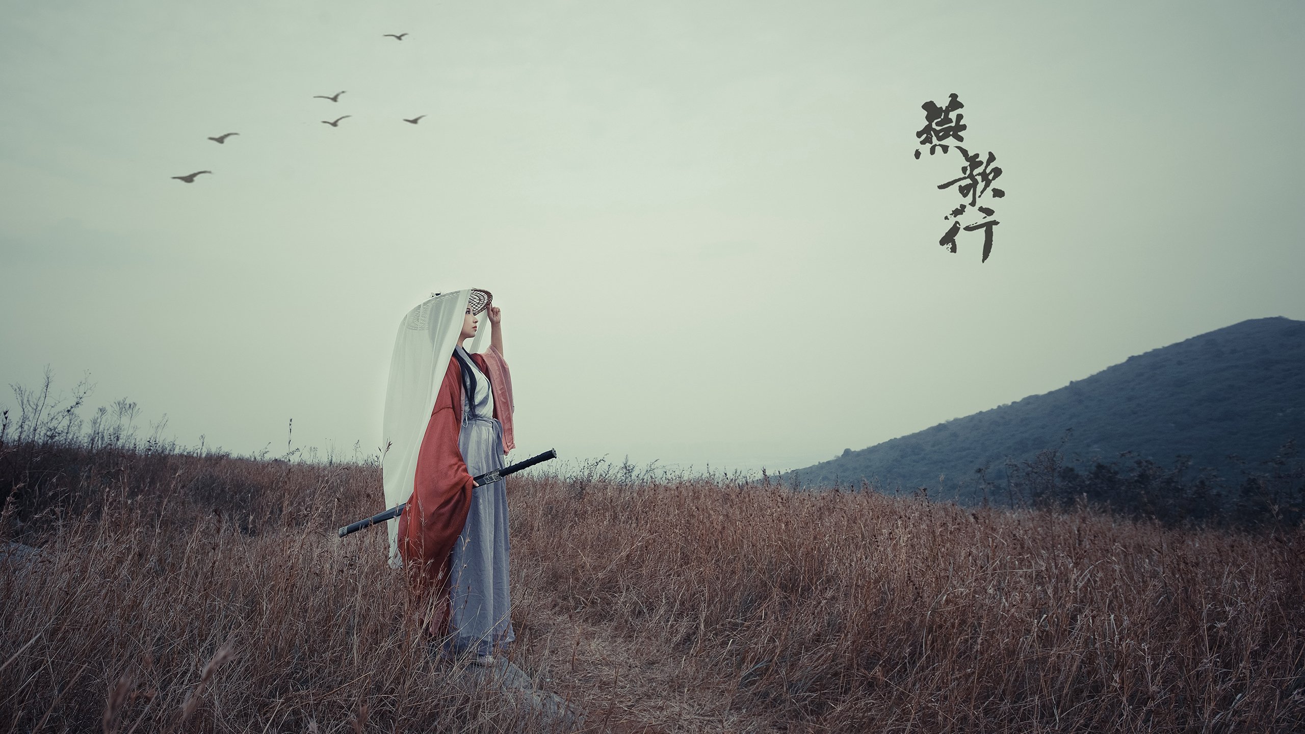 天津津门虎调整战术取得连胜,天津津门虎战况