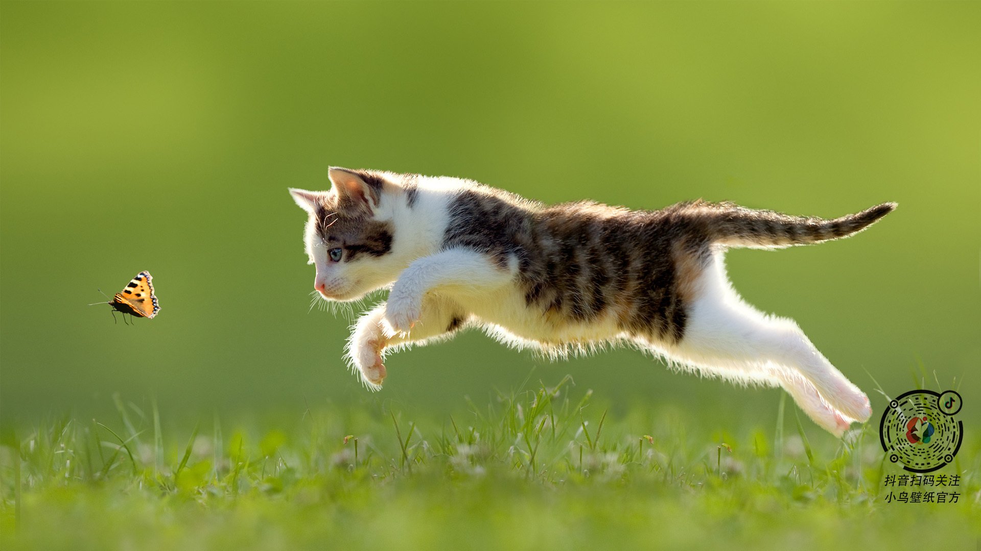 leyu乐鱼体育综合-步行者AI数据助理上线，实时建议轮换阵容，步行者贴吧