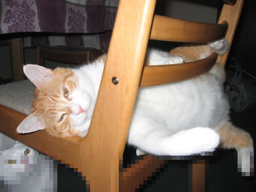 Leyu Sports (乐鱼体育)-特色环湖骑行节，畅享春季自然风光，环湖骑行感受