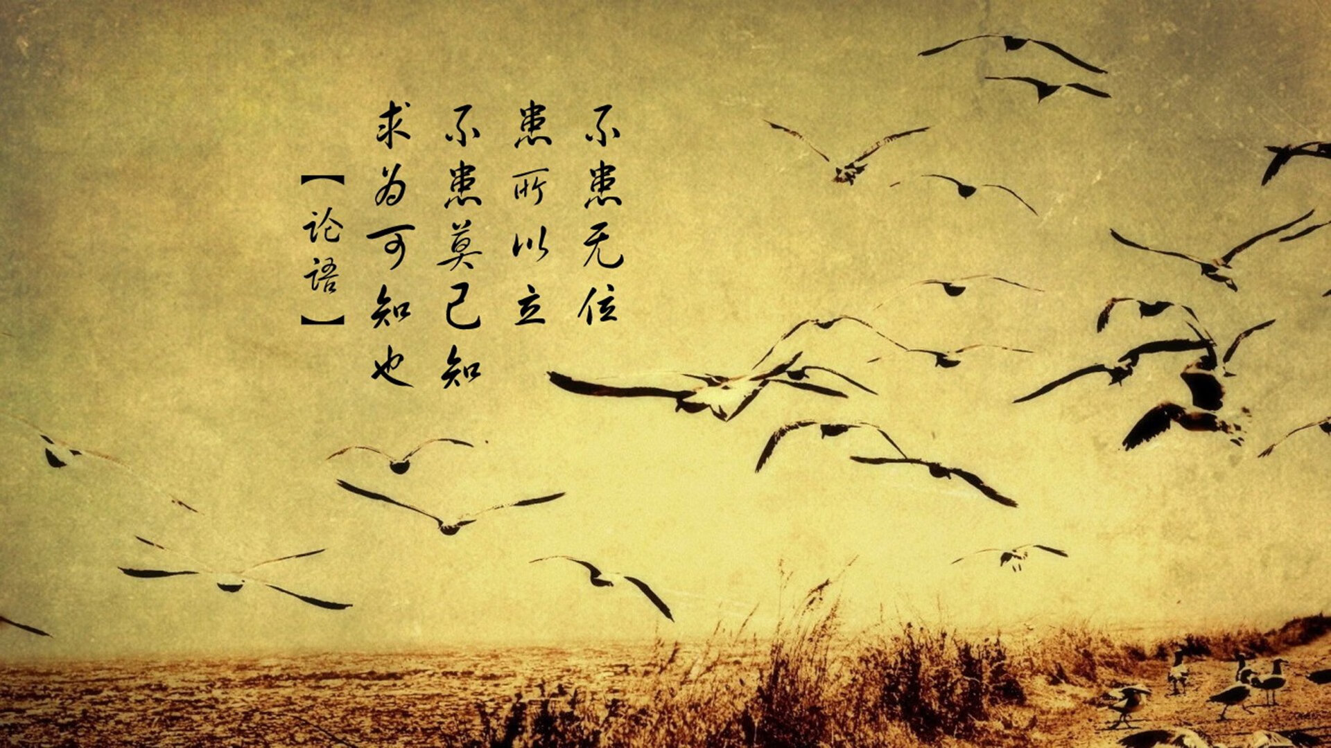 乐鱼官网-西甲人气赛事频繁引爆球迷热情，西甲足球联赛