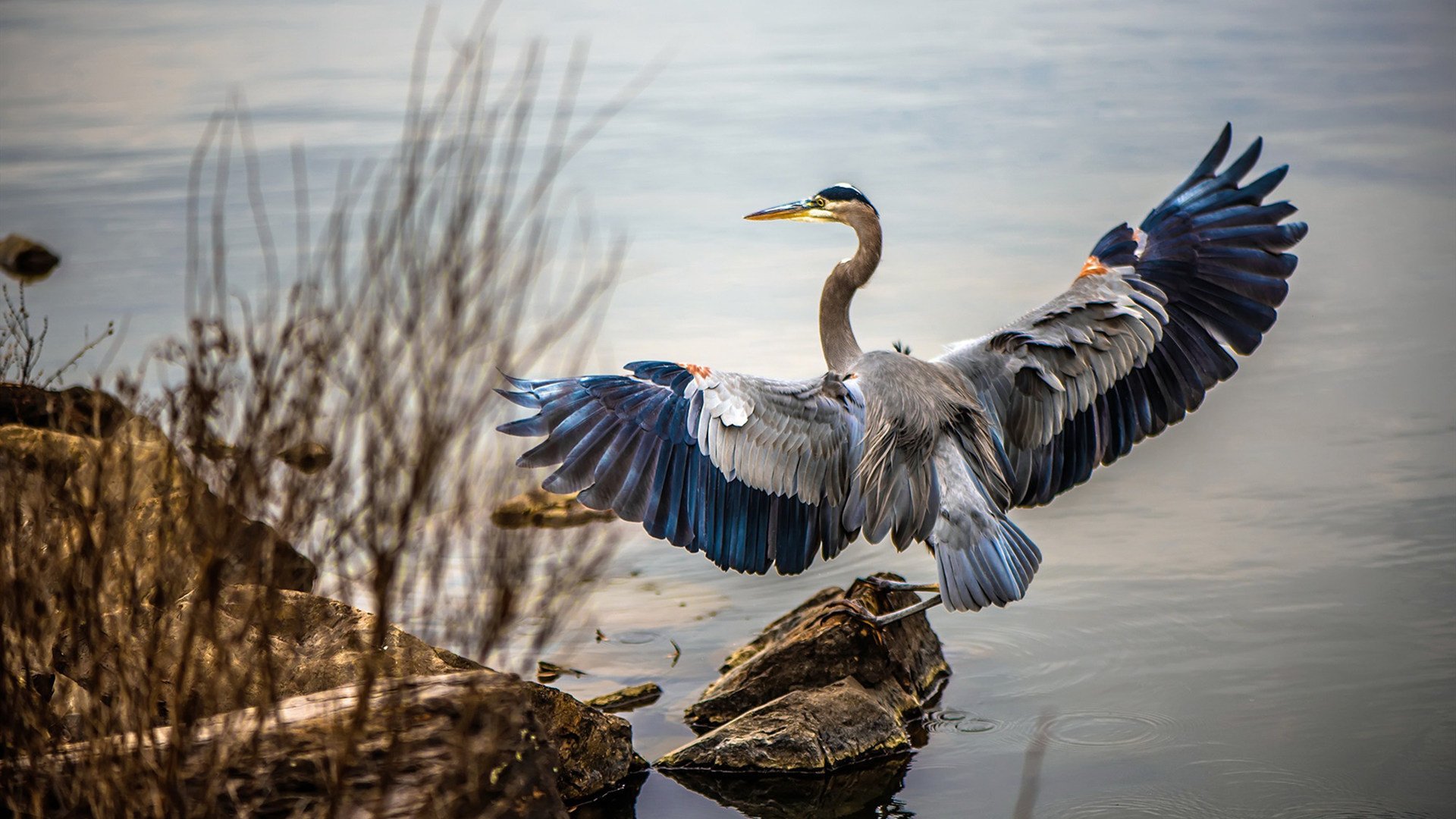 足球纪录片热播引发全民热议,足球 纪录片
