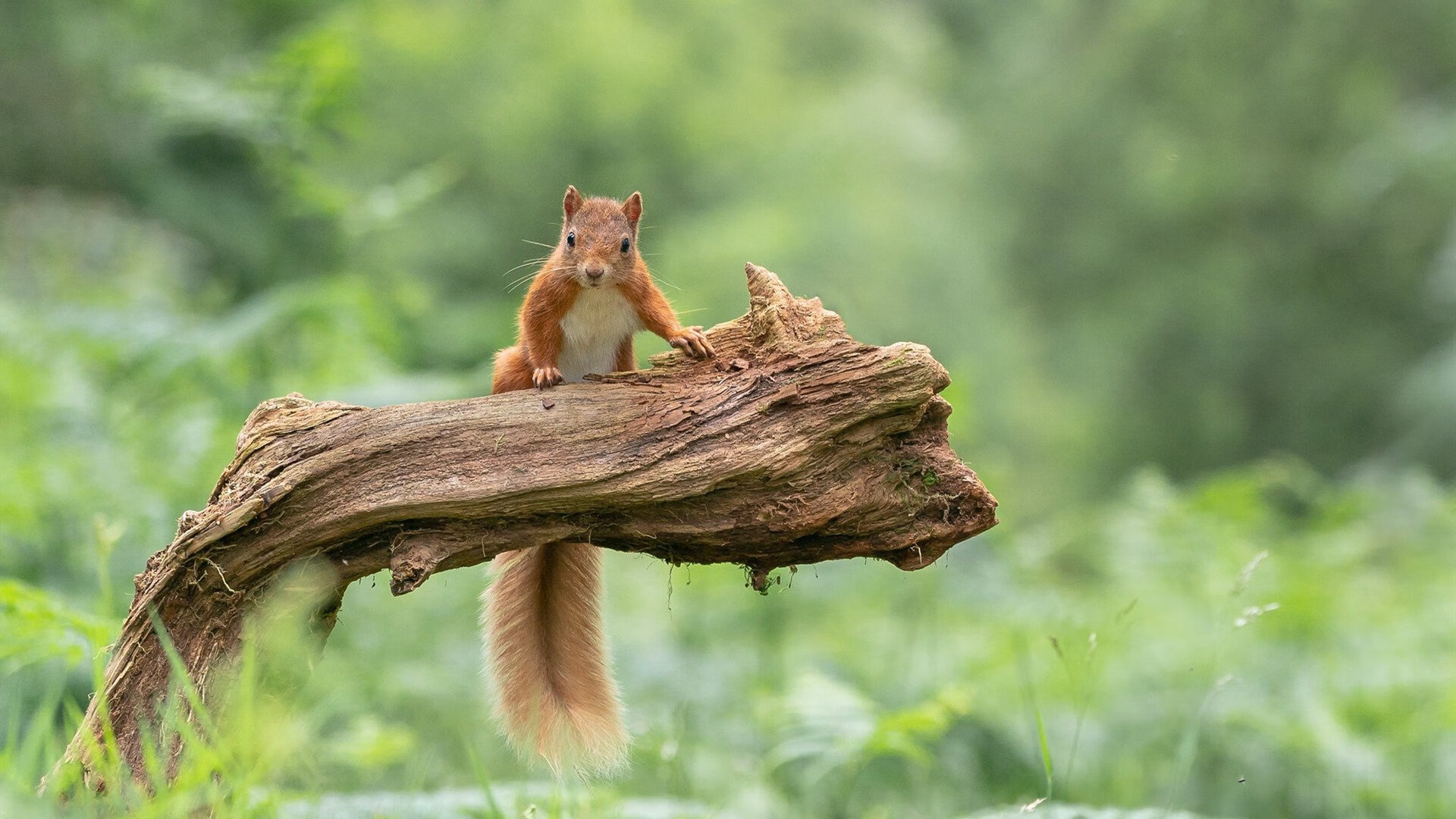 震撼人心的“最后一击”:欧冠最经典绝杀盘点,历届欧冠小组赛最后一轮比分