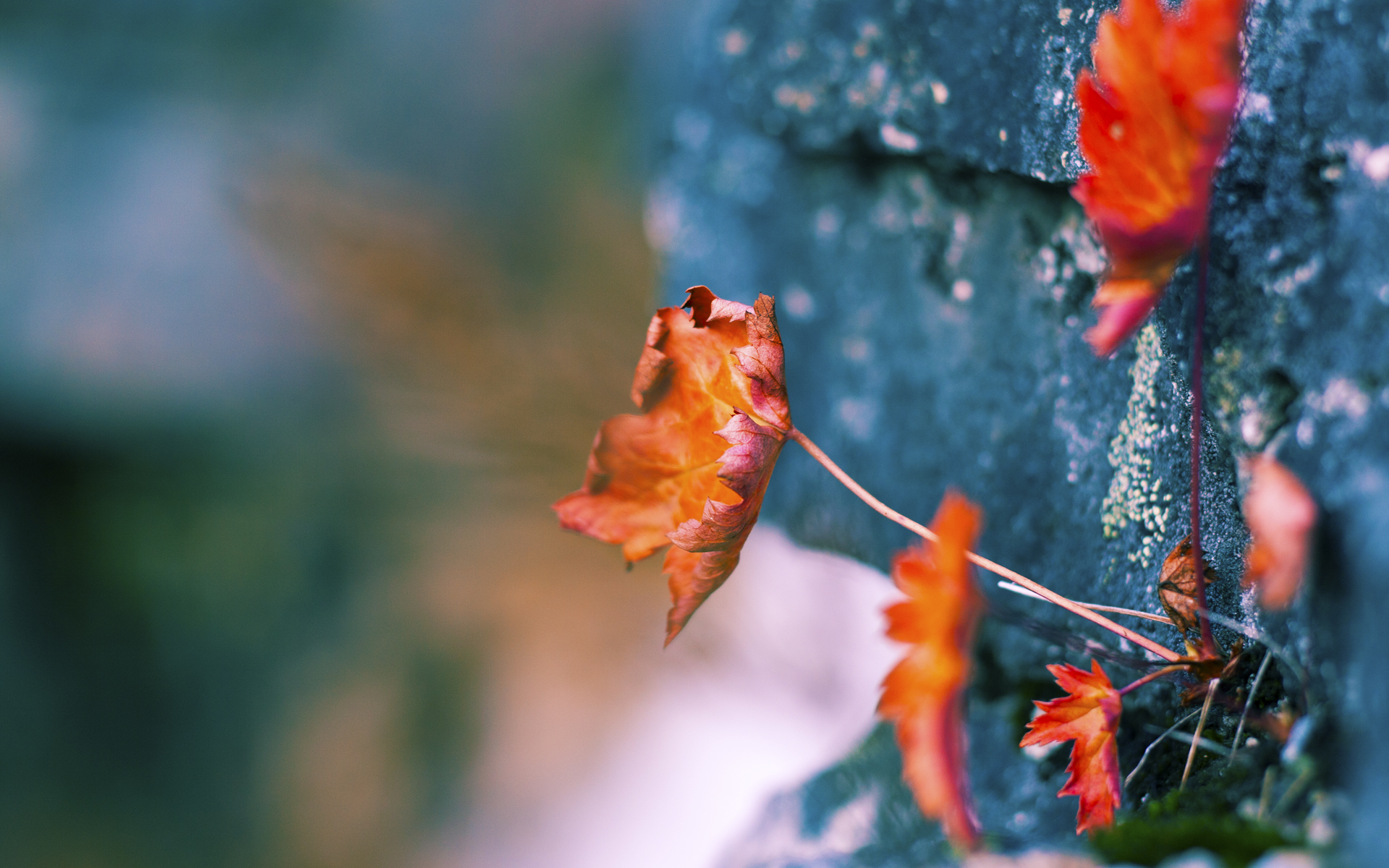 Heroic 战队在 IEM Rio Major 中表现出色,hero战队是哪个城市的