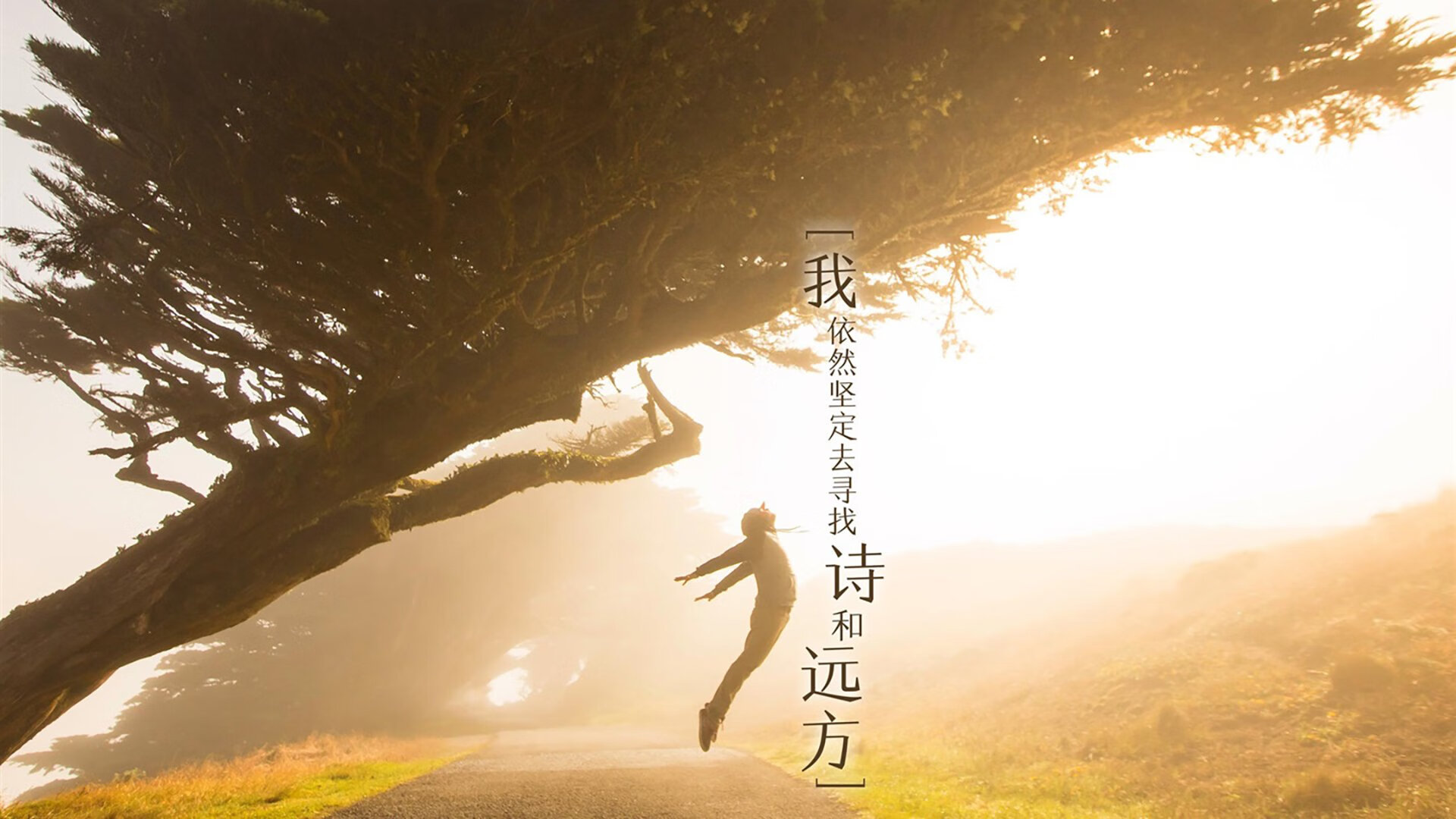 争议:波尔图遭逆转出局,欧冠止步八强!,波尔图欧冠晋级之路