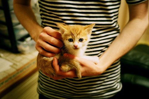 欧冠挑战在即,马赛备战显得信心十足,马赛 欧冠