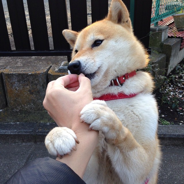 石油人季中引援助力球队，石油人什么意思