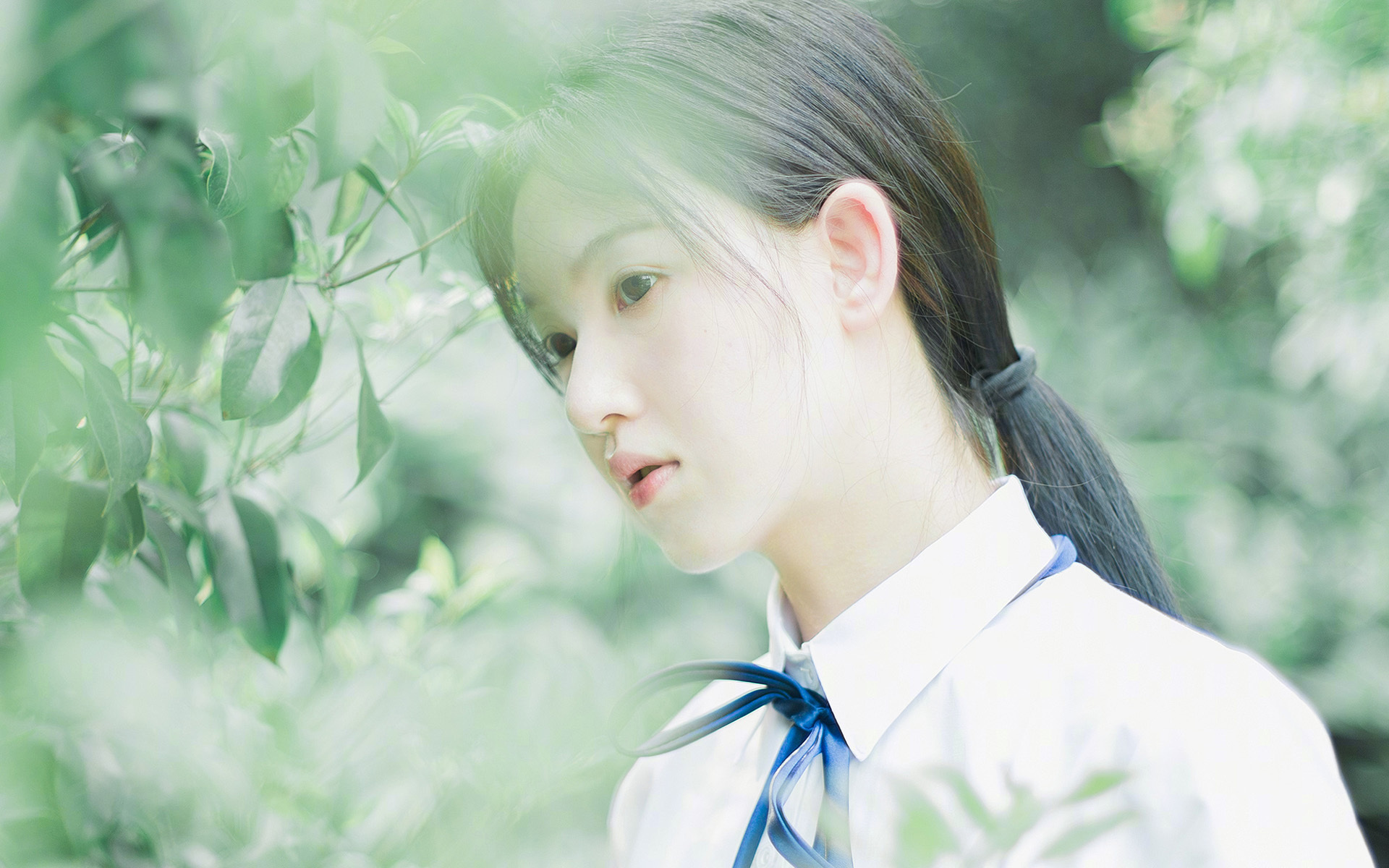 大型体育场馆资源对接与公益服务机制建设，大型体育场馆服务品质提升