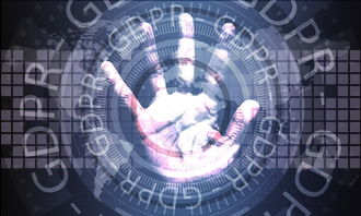 LEYU SPORTS中国官方网站-数字化体育场馆管理平台建设与应用分析，体育场馆智能化系统