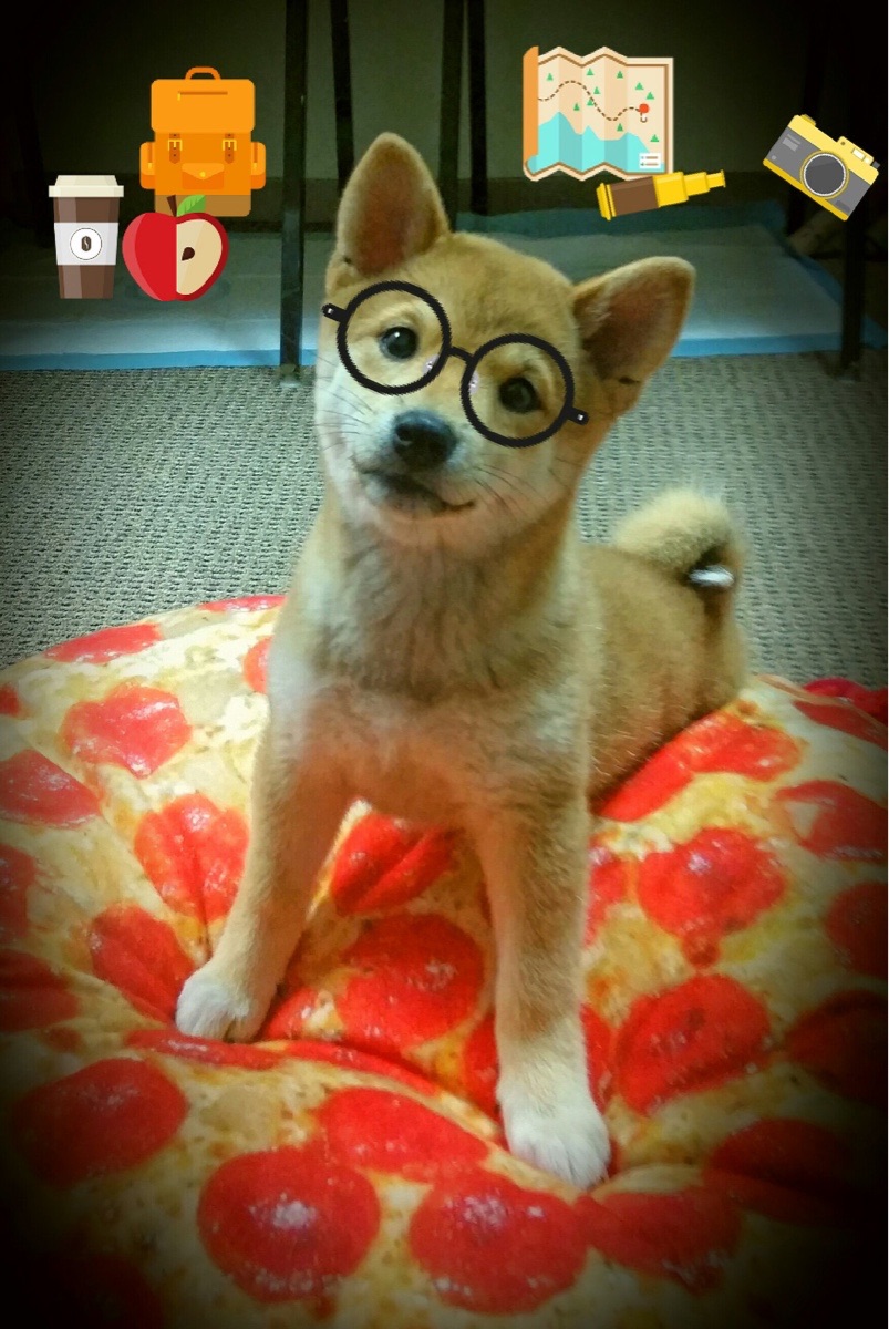 篮球专项体能训练对竞技表现的影响研究，体能对篮球的意义与应用