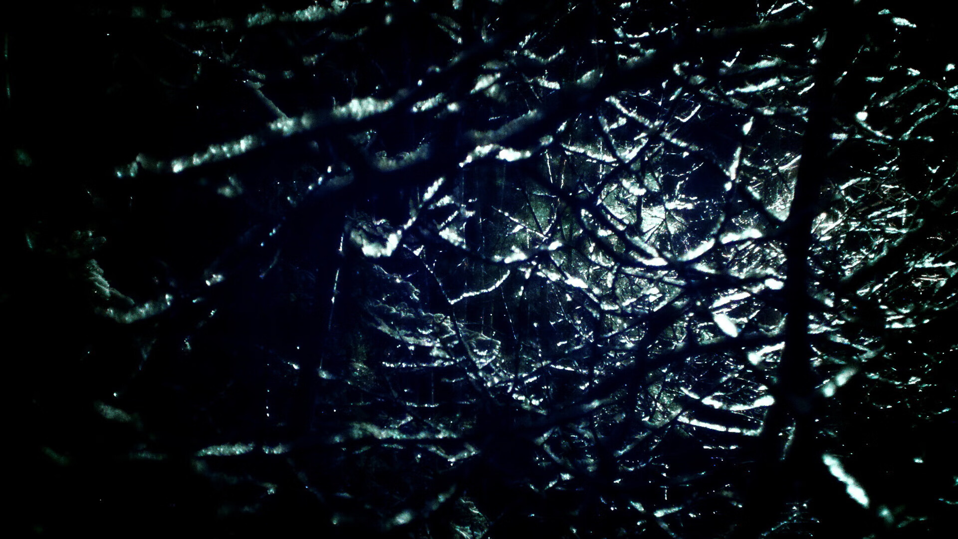 青少年体育活动组织管理模式创新，青少年体育管理的基本原则