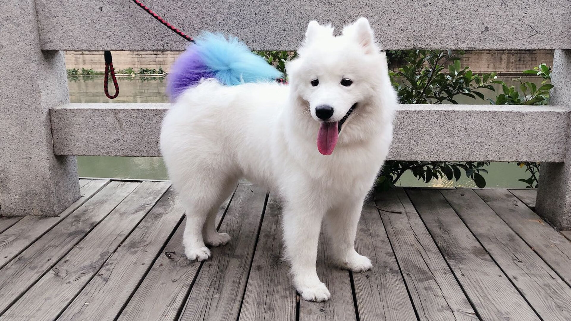 乐鱼电竞在线平台登录入口-伤病高发位置是否与技术对抗强度相关，伤病治疗过程简述