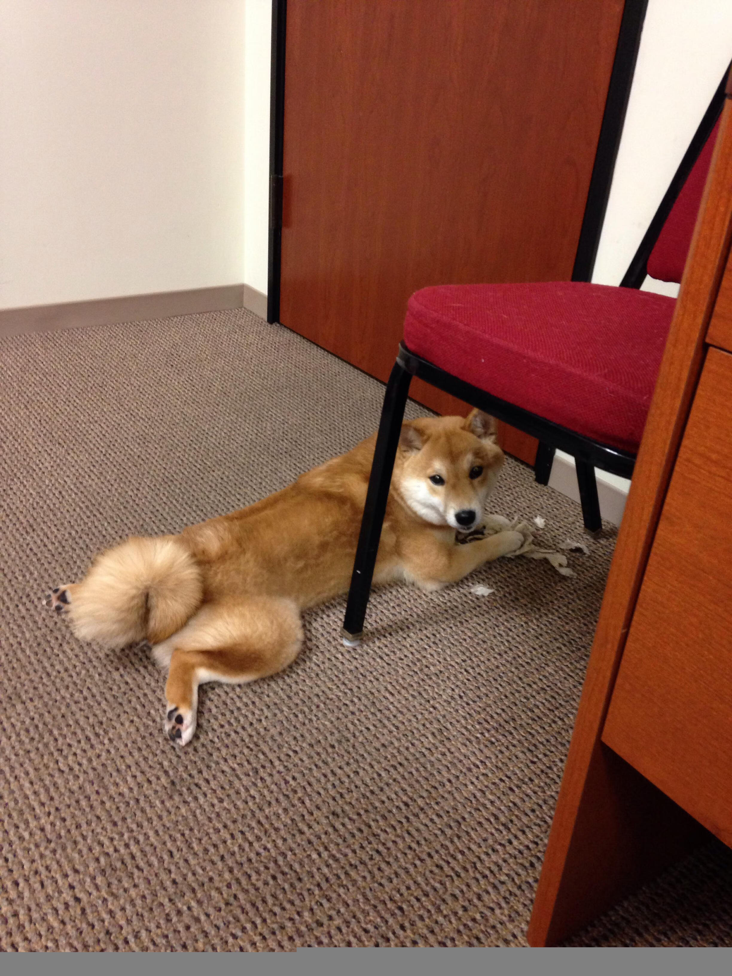 乐鱼vip-博卡青年顽强防守难挡拜仁强攻，博卡青年著名球员