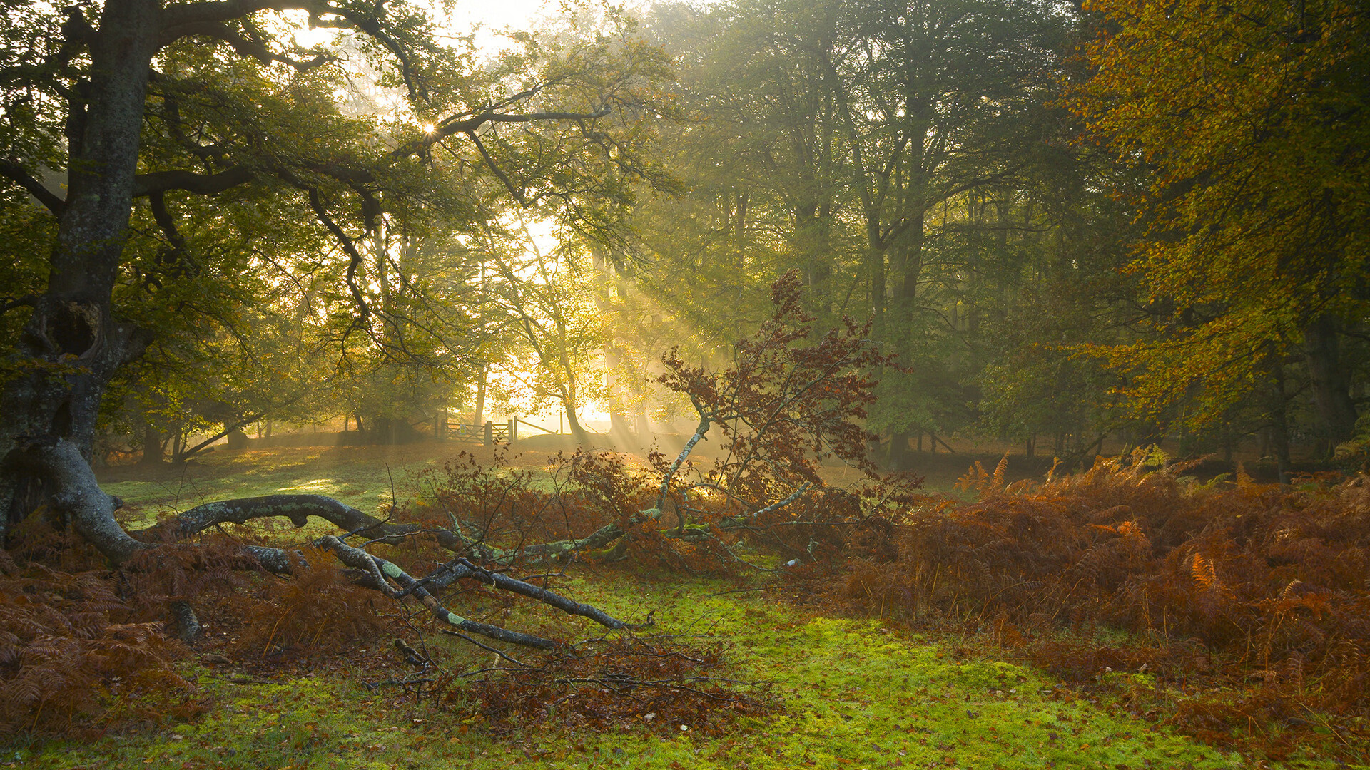 乐鱼（LEYU）体育-决赛看点：贾瓦迪全程节奏稳定，贾拉瓦人