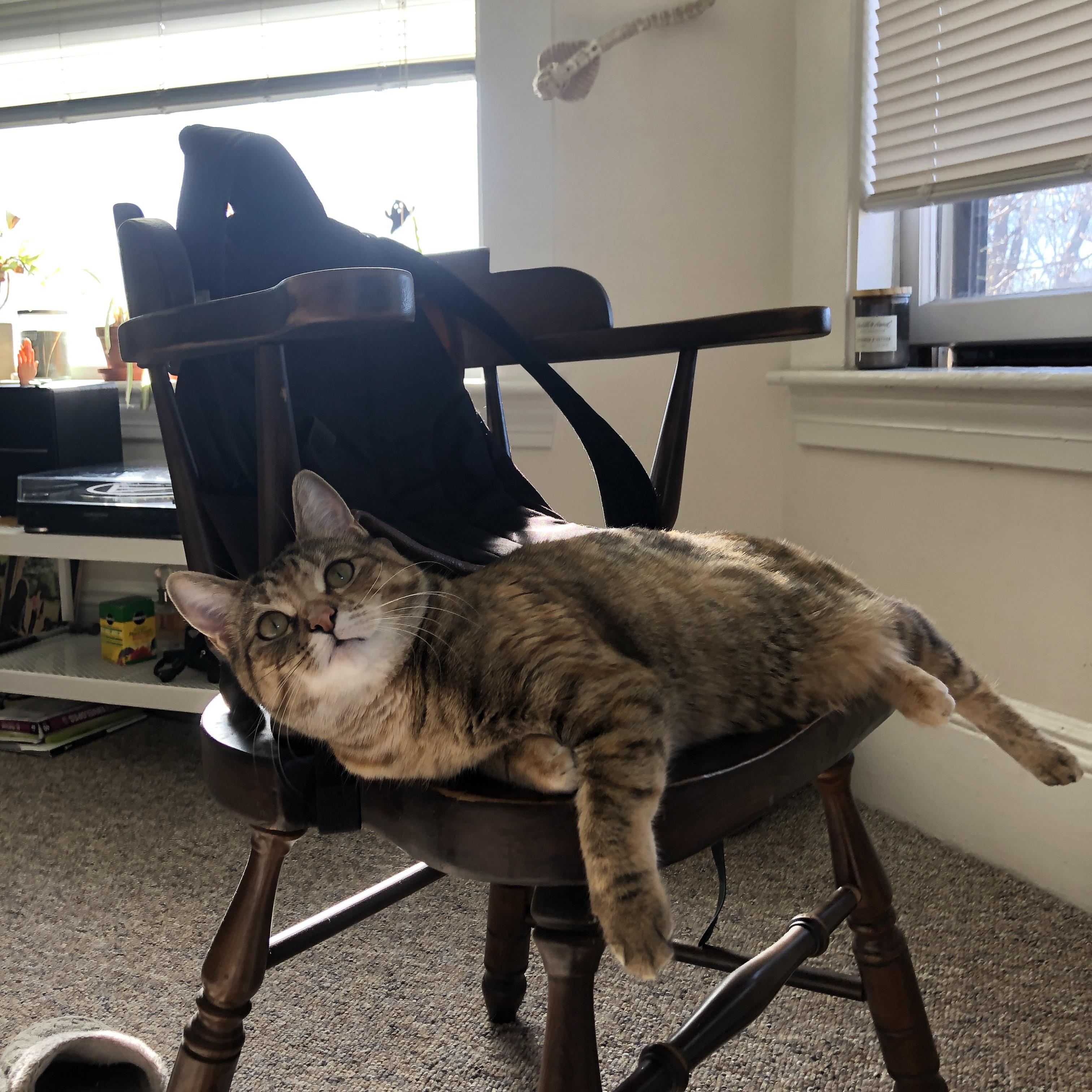 乐鱼（中国）体育官方网站-男篮与女篮同期举行赛事，双赛制吸引更广泛受众，男篮vs中国女篮