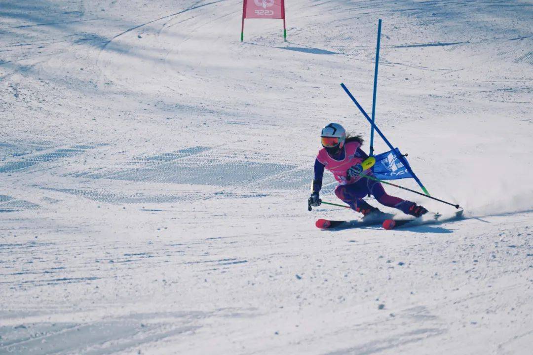 乐鱼体育:冬季运动的魅力所在，滑雪与单板滑雪的对决的简单介绍