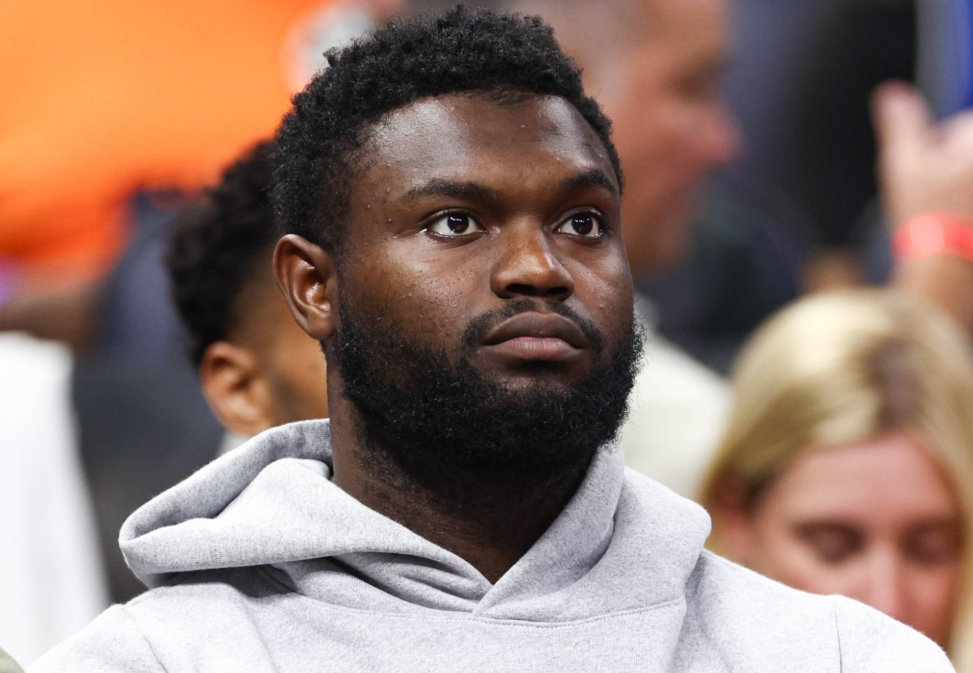 包含威廉森：鹈鹕的未来之星的词条