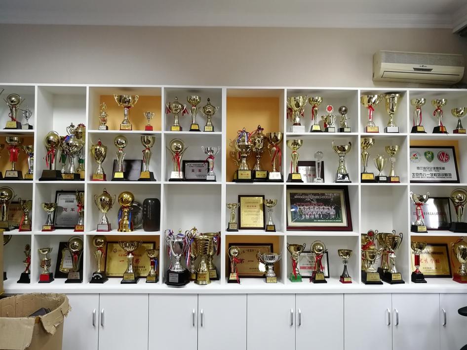 包含乐鱼体育:中国足球青训体系评估：球员发展路径与人才选拔机制的词条